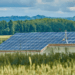 panneaux photovoltaïques monocristallins